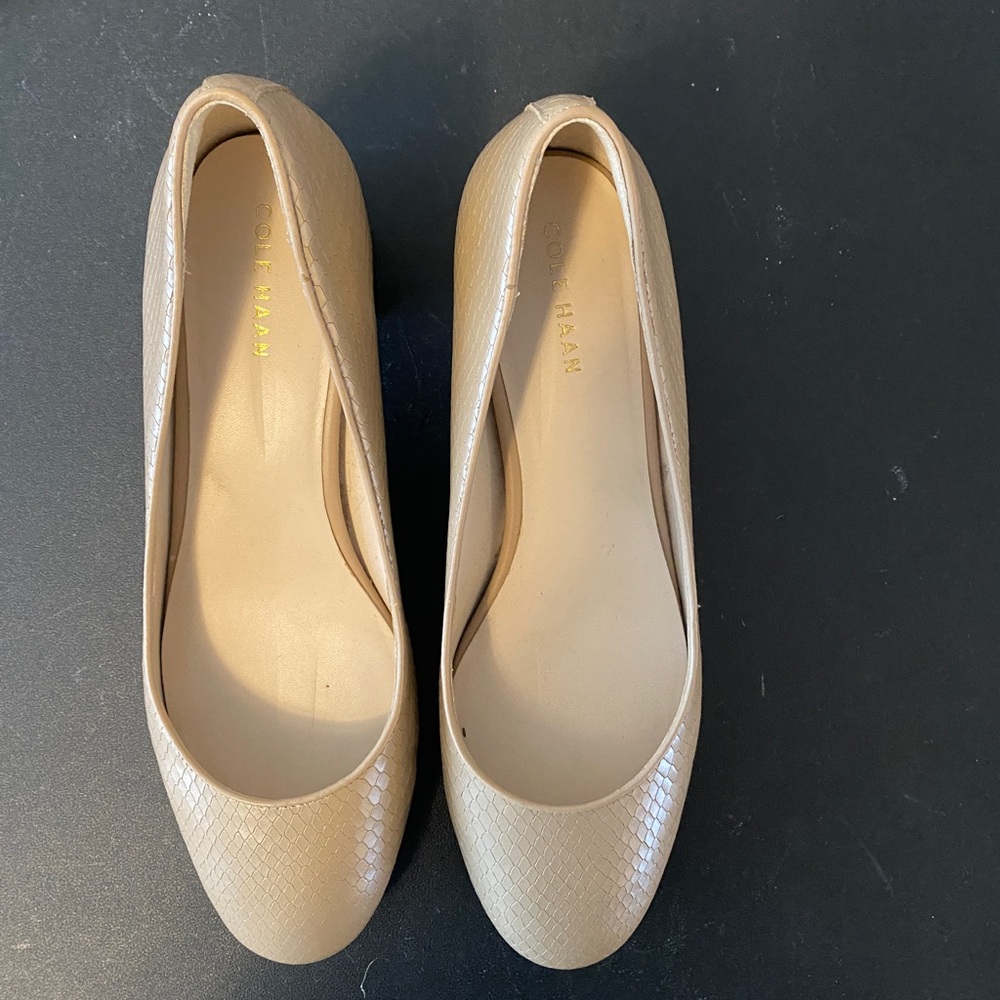 Cole Haan patent beige heels with croc effect (2 inch) heel